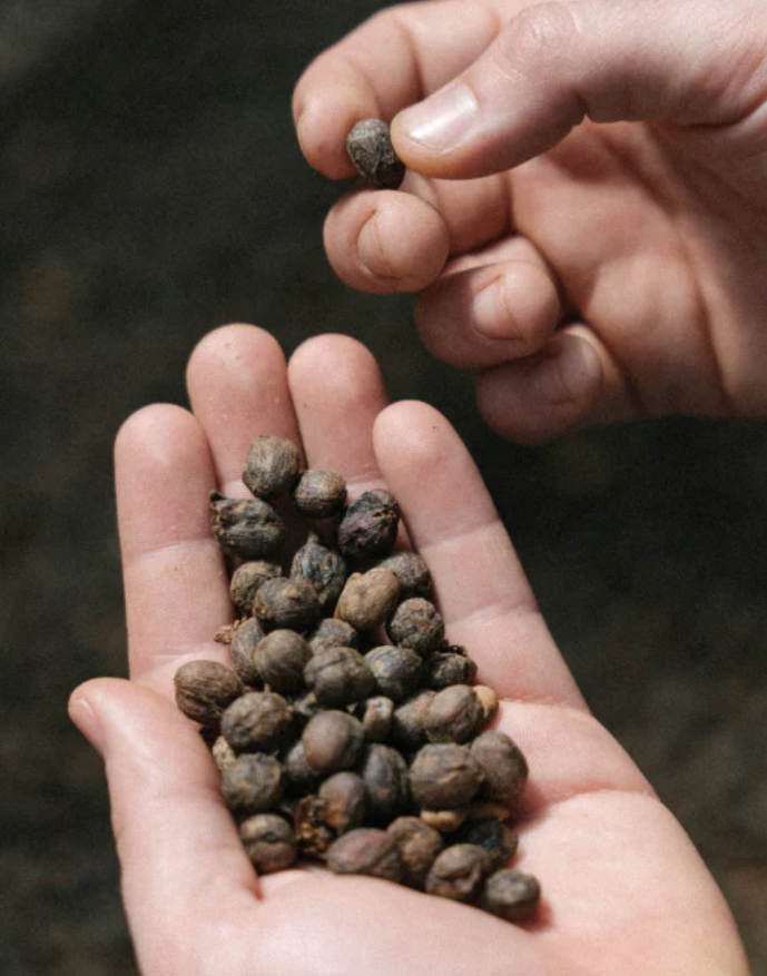 Screenshot 2024-05-14 105949