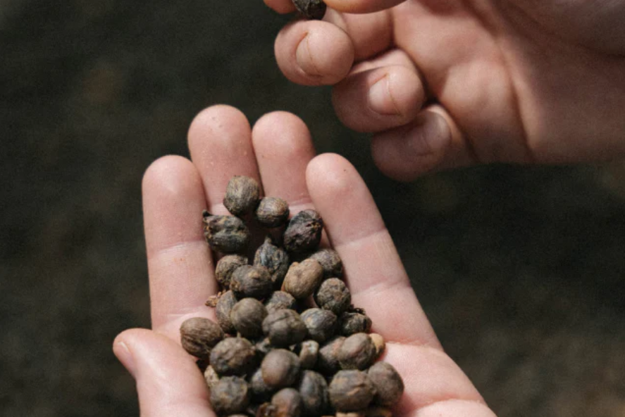 Screenshot 2024-05-14 105949